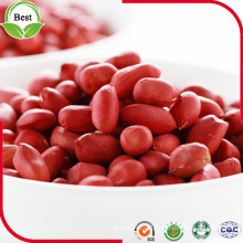 Round Dark Red Skin Peanut Kernel